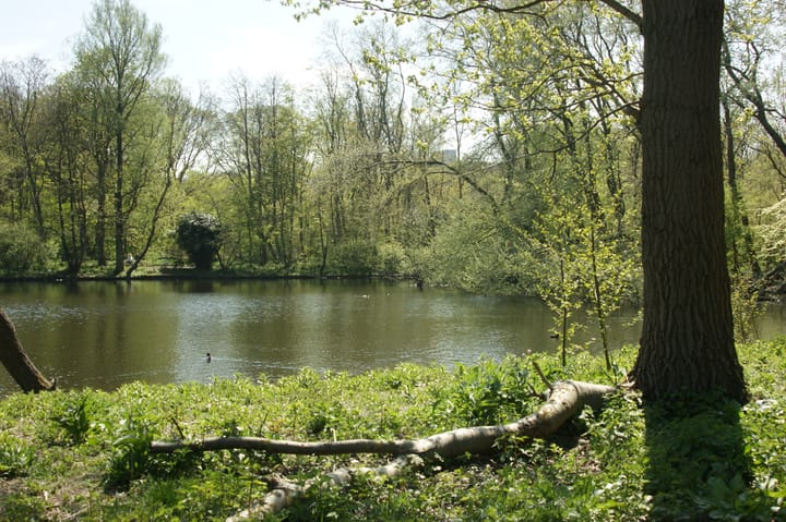 Foto 40 van Arabislaan 74