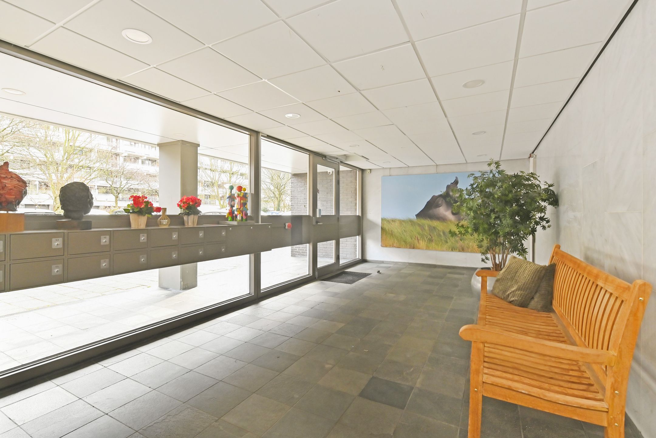 Foto 24 van Denijsstraat 39