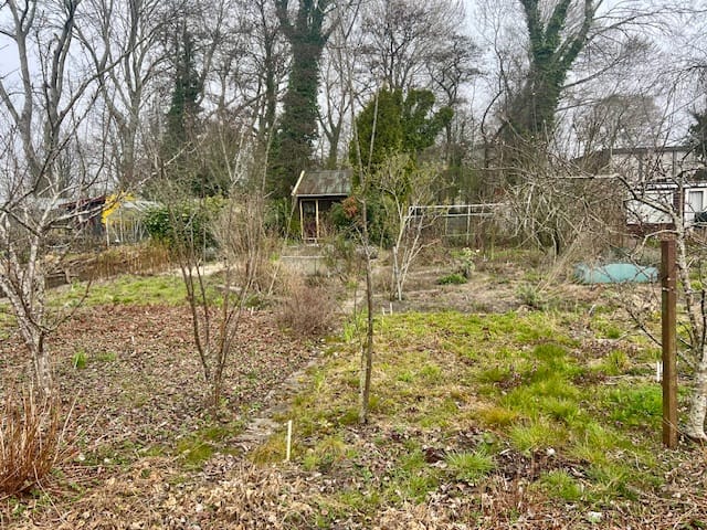 Photo 3 of Willem de Zwijgerlaan 1