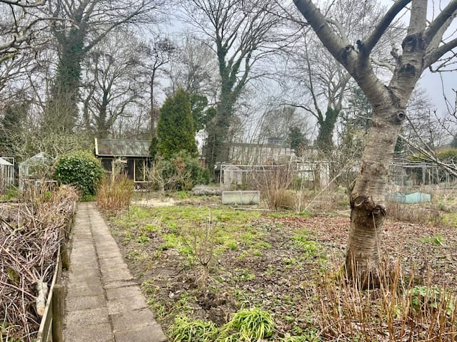 Photo 4 of Willem de Zwijgerlaan 1