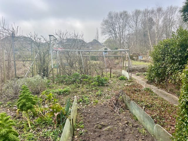 Foto 6 van Willem de Zwijgerlaan 1