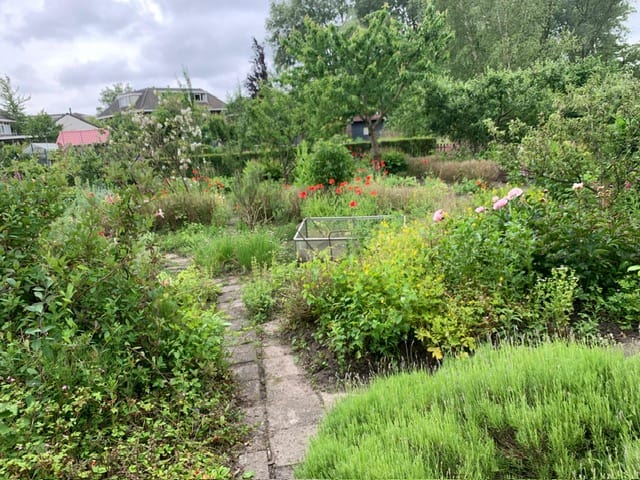 Foto 9 van Willem de Zwijgerlaan 1