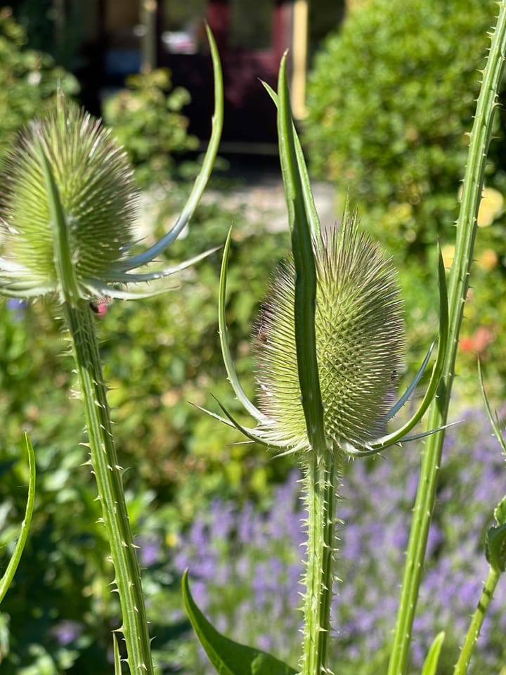 Photo 12 of Willem de Zwijgerlaan 1