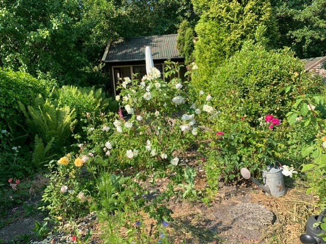 Foto 14 van Willem de Zwijgerlaan 1