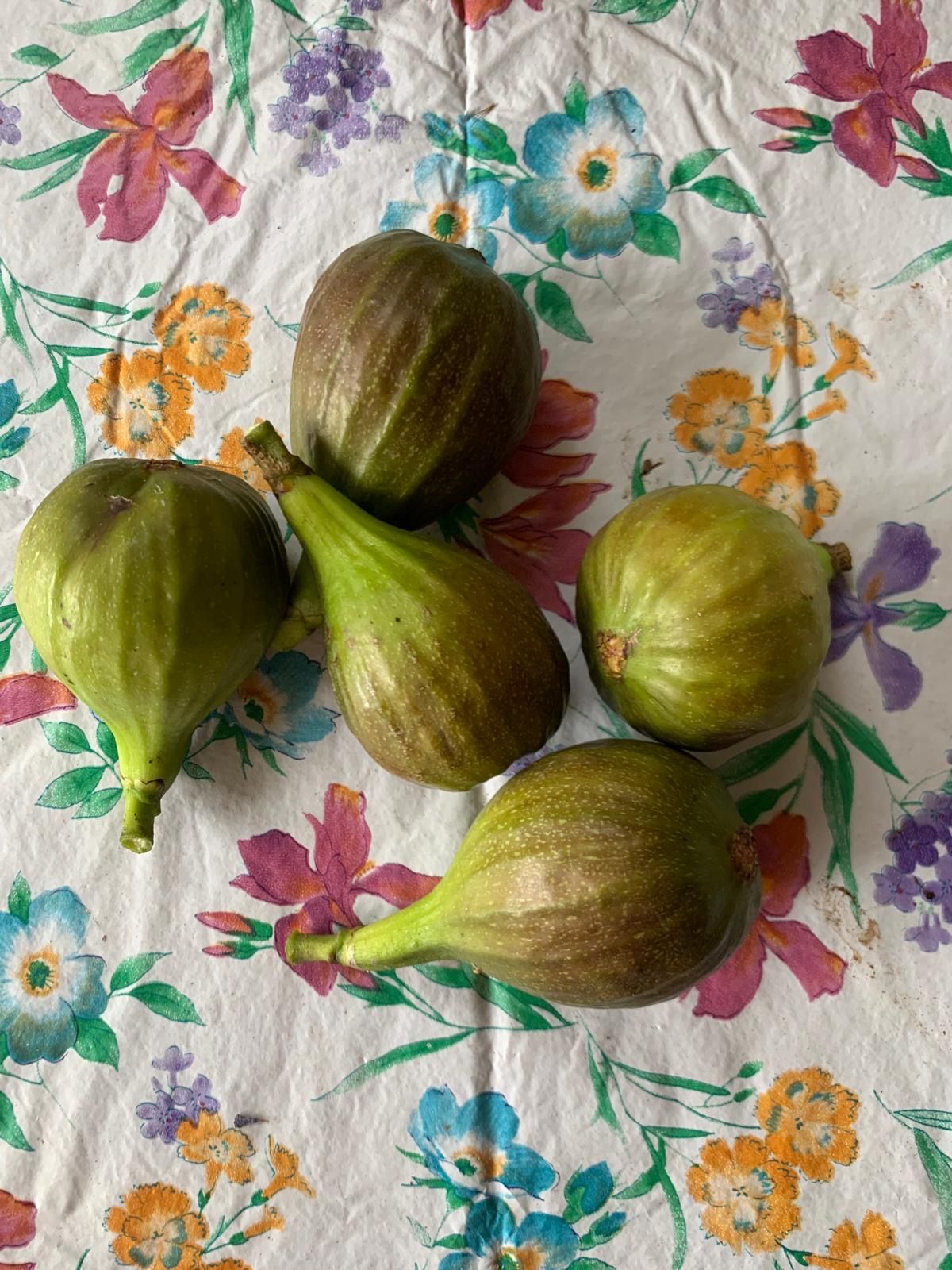 Foto 18 van Willem de Zwijgerlaan 1