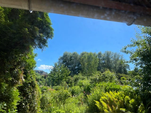 Photo 19 of Willem de Zwijgerlaan 1