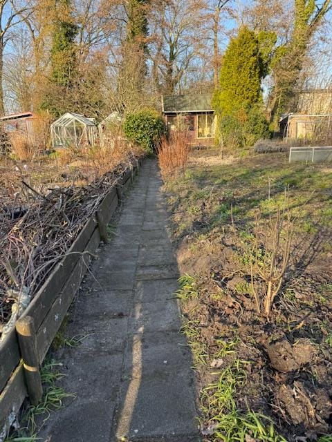 Photo 20 of Willem de Zwijgerlaan 1