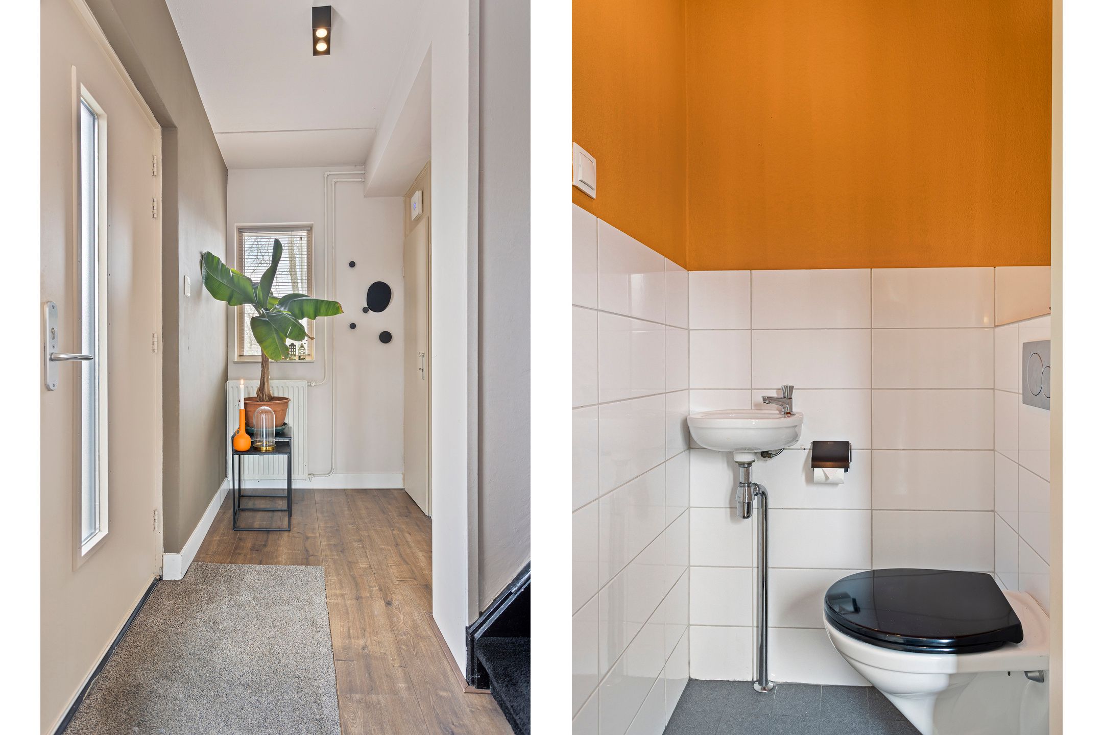 Foto 3 van Kamperfoelie 75