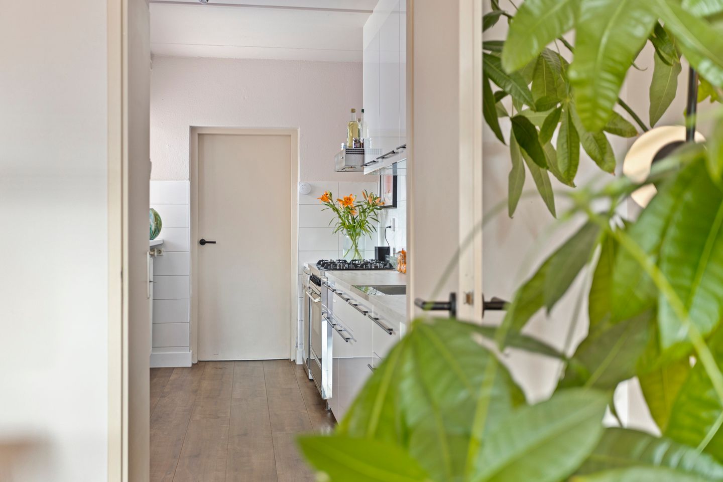 Foto 10 van Kamperfoelie 75