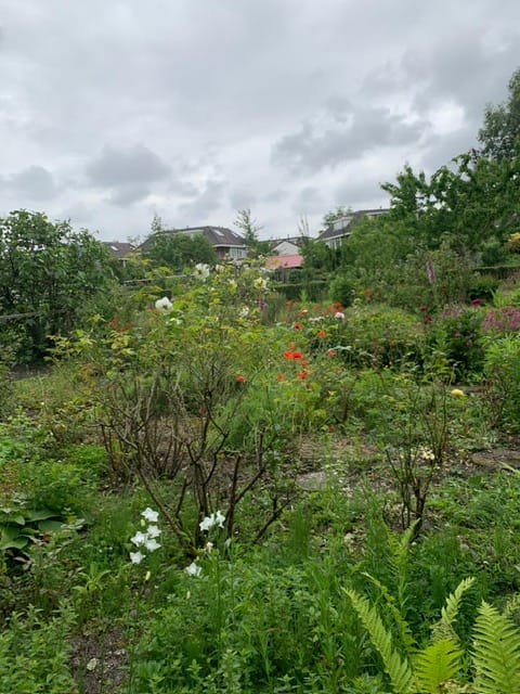 Photo 10 of Willem de Zwijgerlaan 1