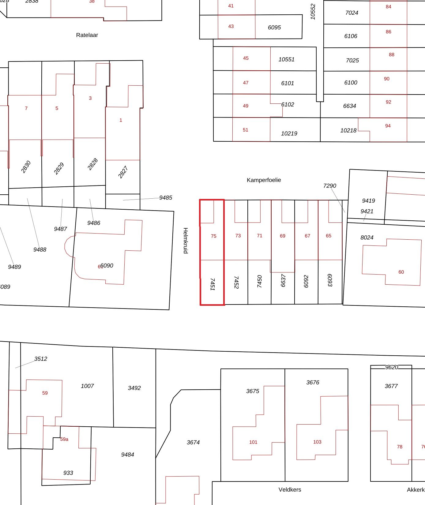 Foto 29 van Kamperfoelie 75