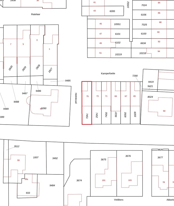 Foto 29 van Kamperfoelie 75