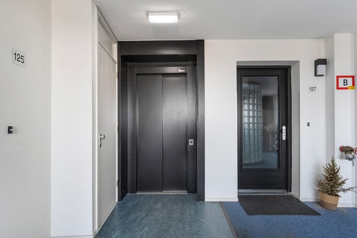 Foto 10 van Bultkroos 115