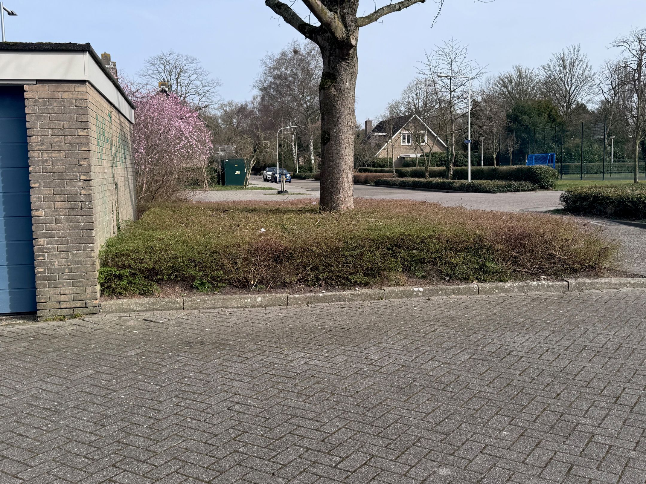 Foto 6 van Garagebox Smitsstraat 32 G023