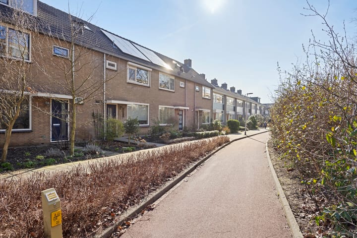 Photo 28 of Sleedoornlaan 8