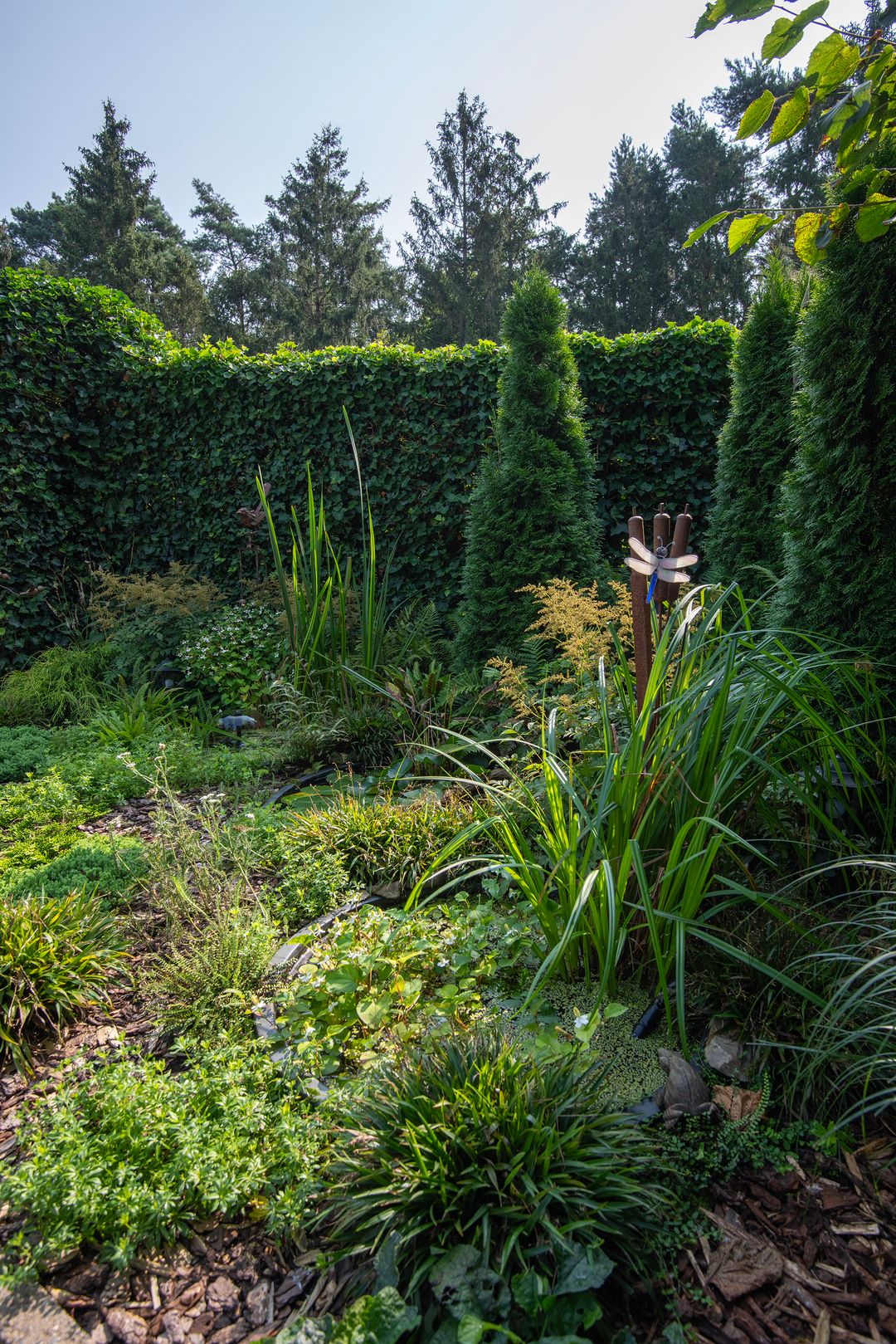 Foto 26 van Schovenhorsterveldweg 18