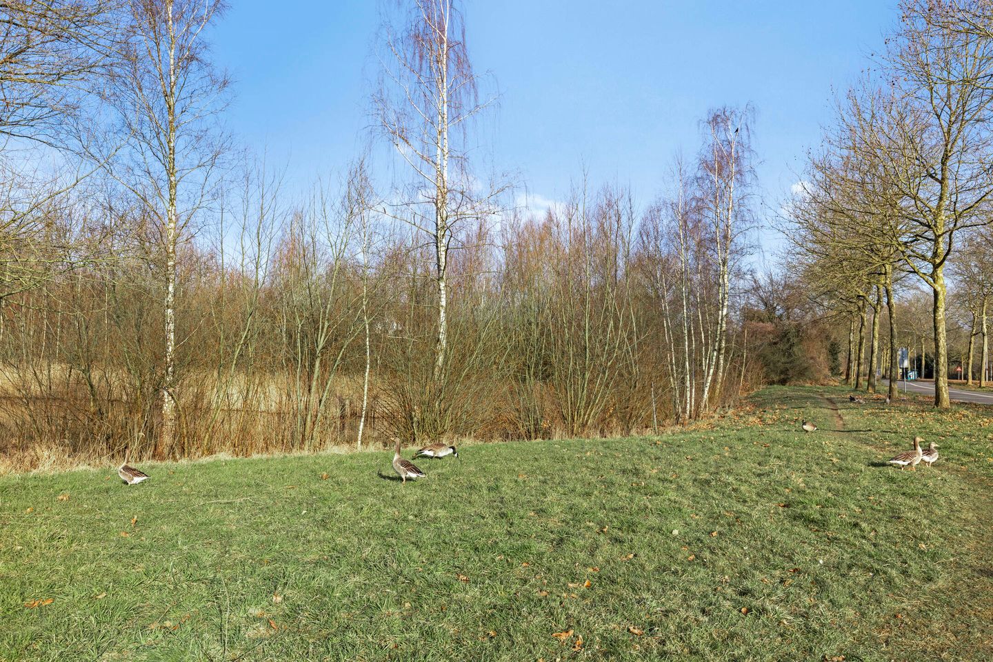 Foto 29 van Jo Spierlaan 53