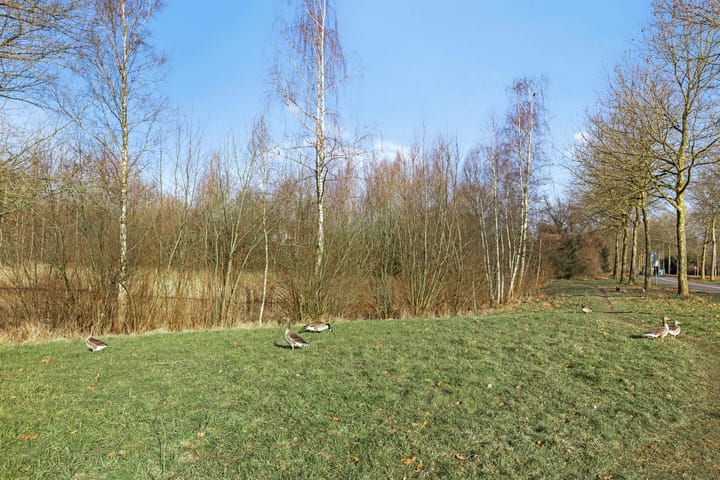 Foto 29 van Jo Spierlaan 53