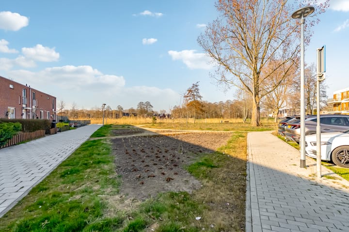 Foto 40 van Leemwierde 118