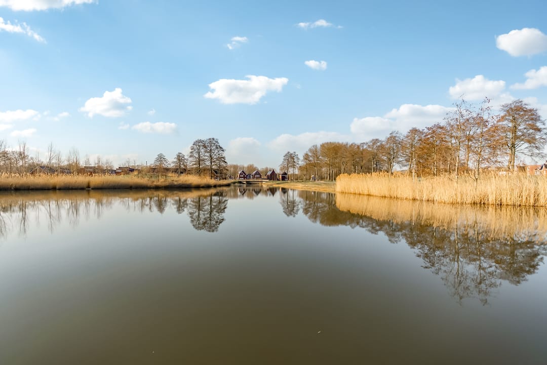 Foto 41 van Leemwierde 118