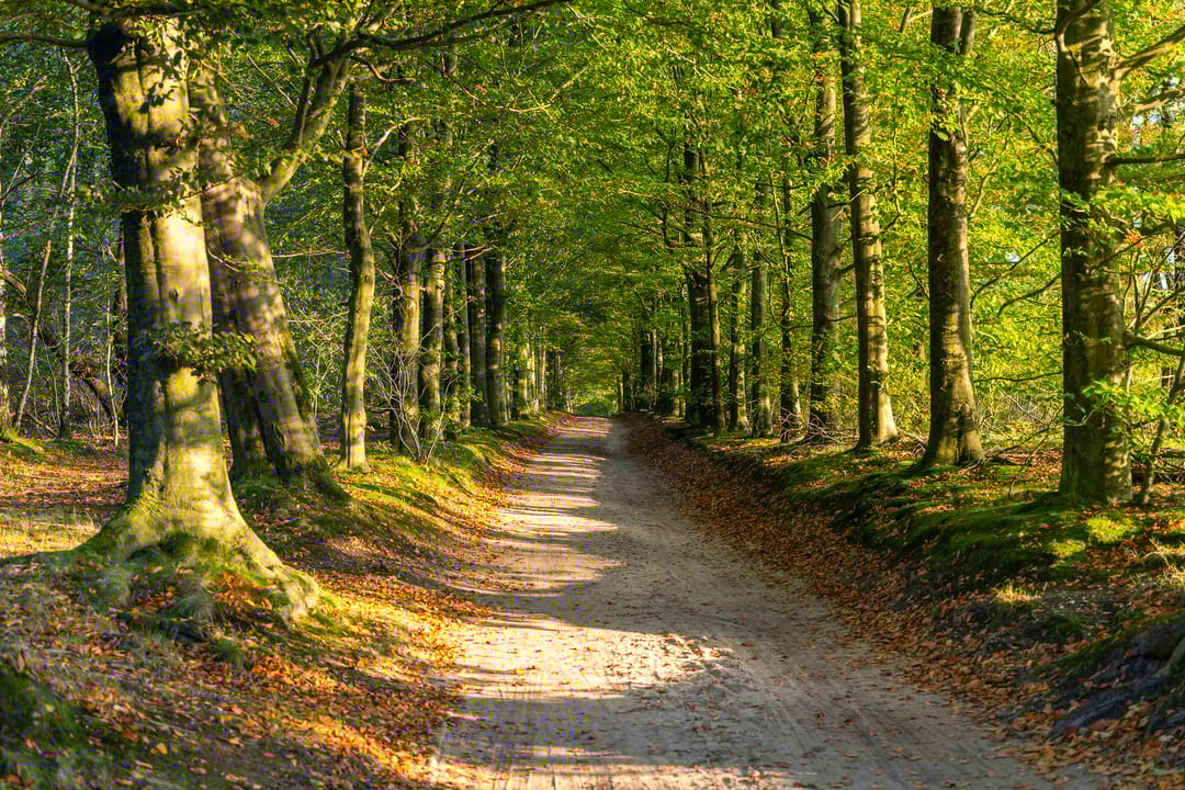 Foto 26 van Maarnse Bergweg 1-R129