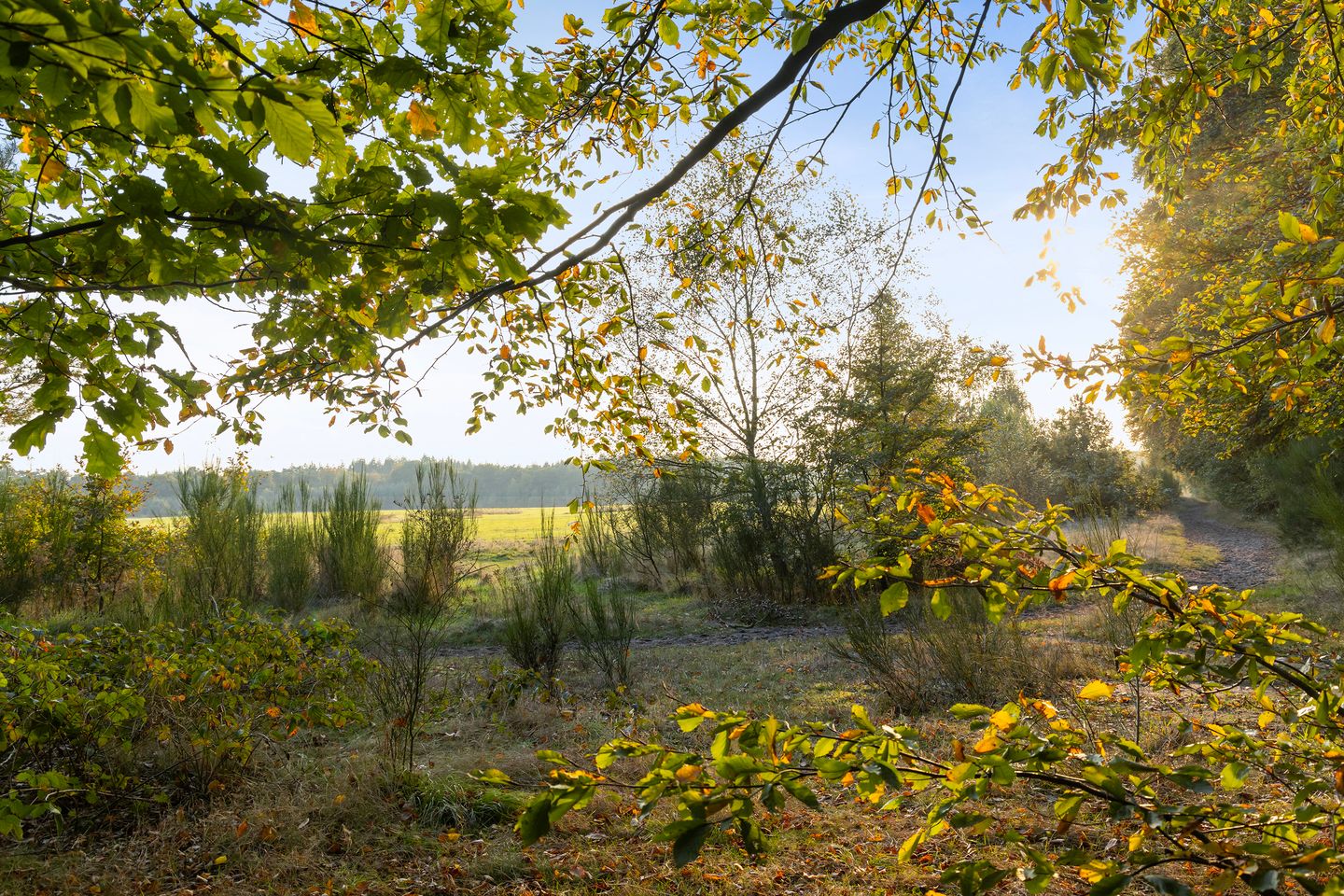 Foto 29 van Maarnse Bergweg 1-R129