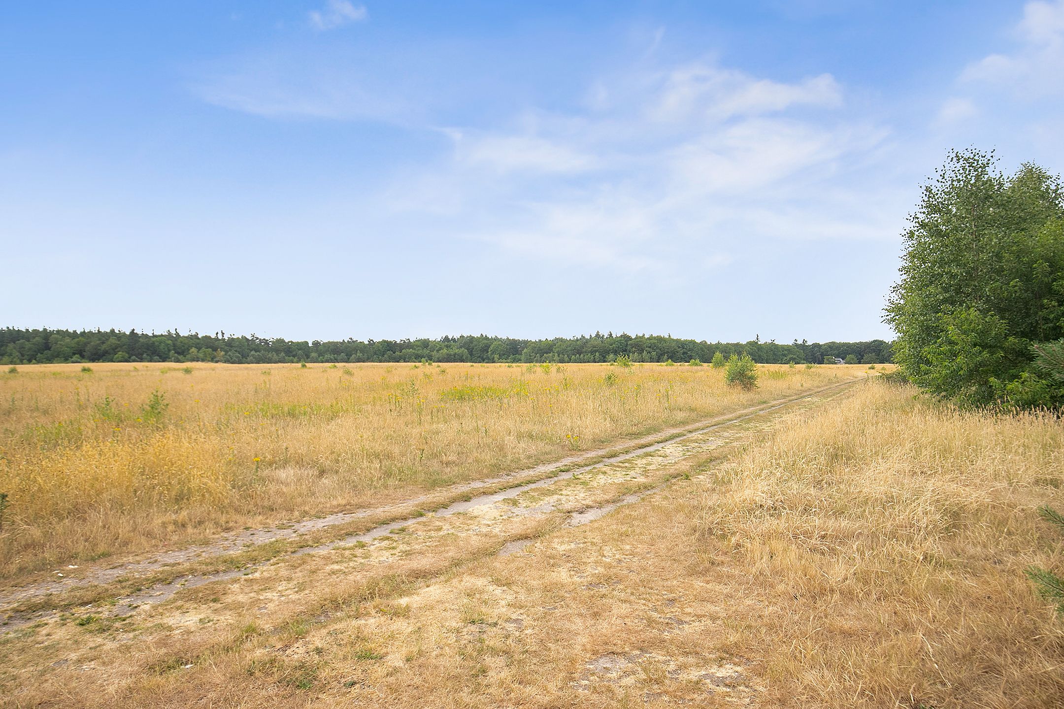 Foto 30 van Maarnse Bergweg 1-R129