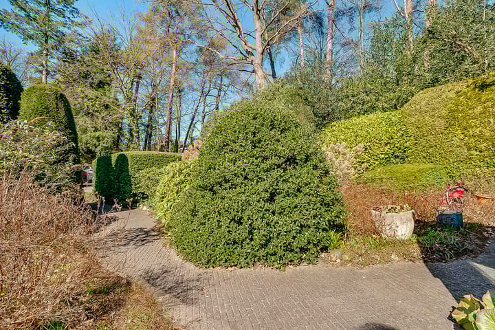 Foto 40 van Sportlaan 2