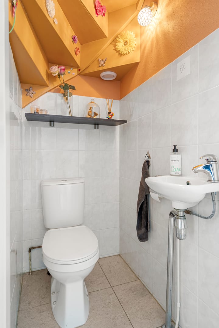 Foto 13 van De Vlier 6