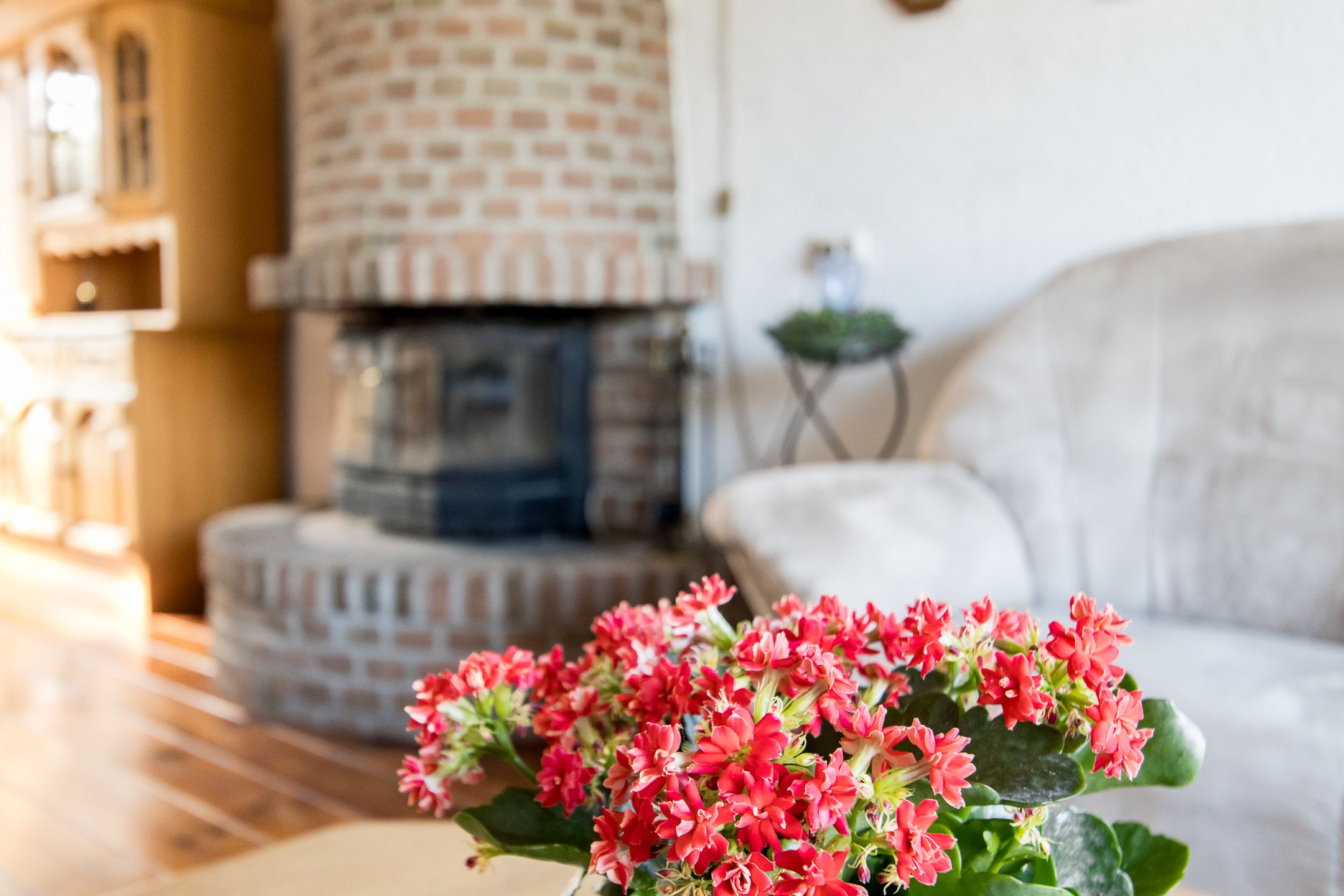 Foto 21 van Hoofdveld 12