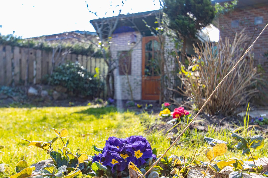 Foto 56 van Hoofdveld 12