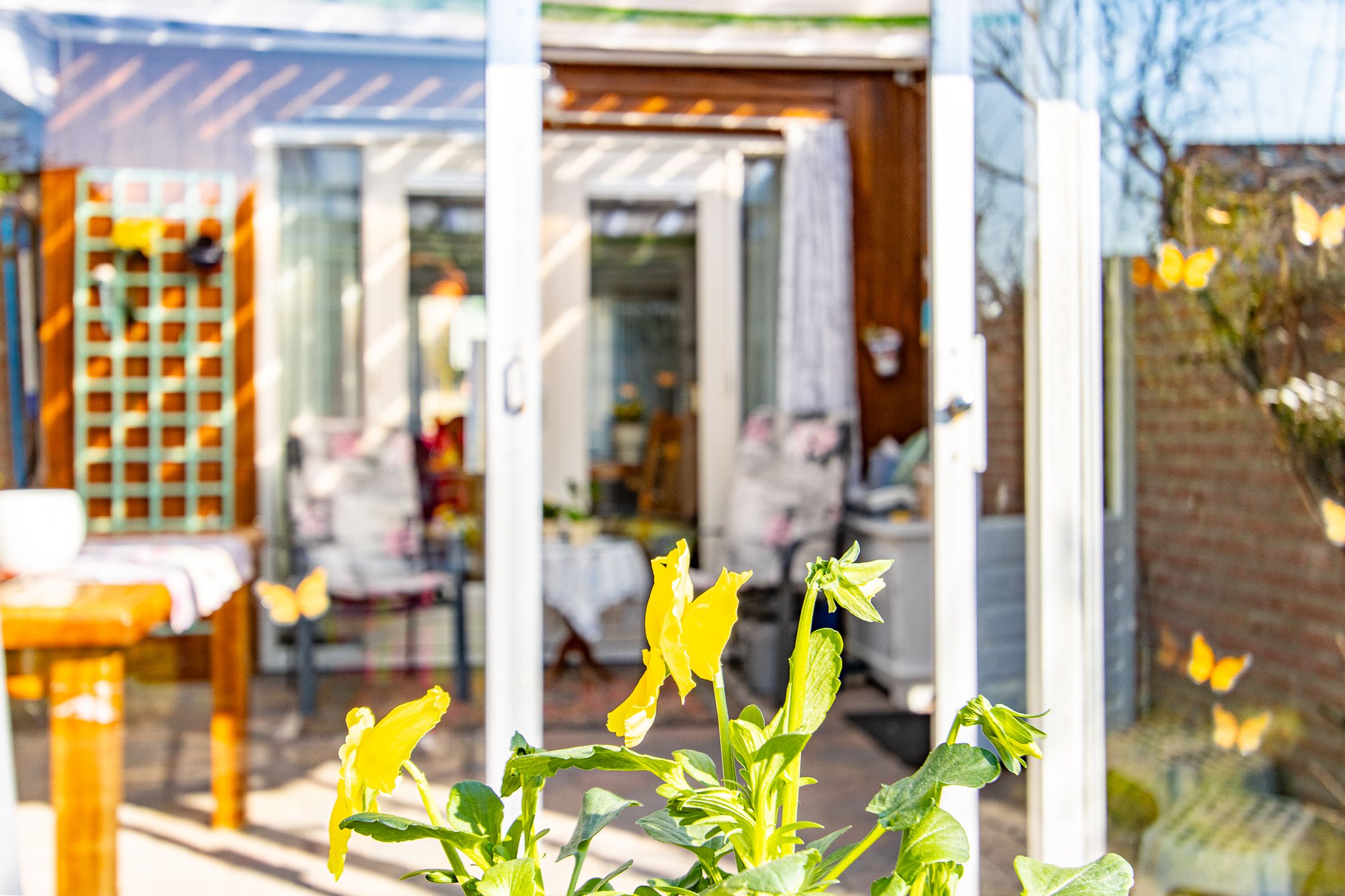 Foto 57 van Hoofdveld 12