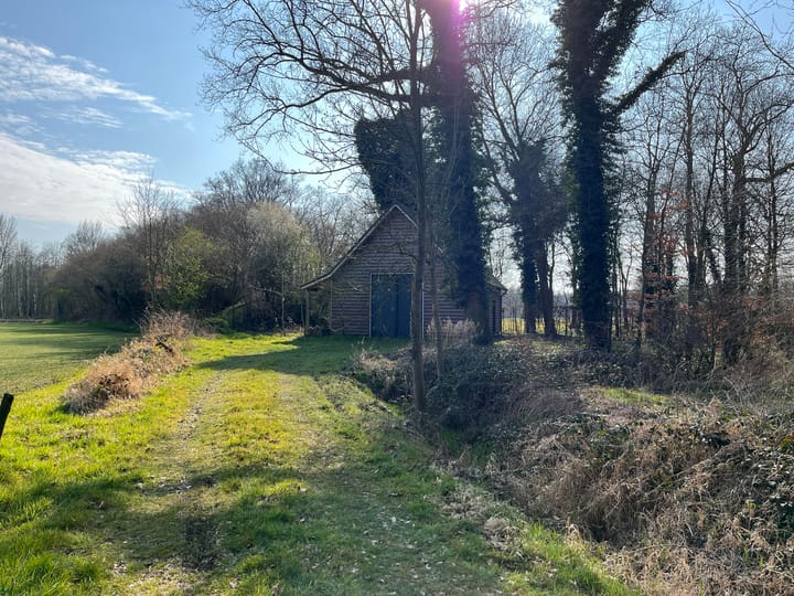 Foto 4 van Otelaarseweg 17