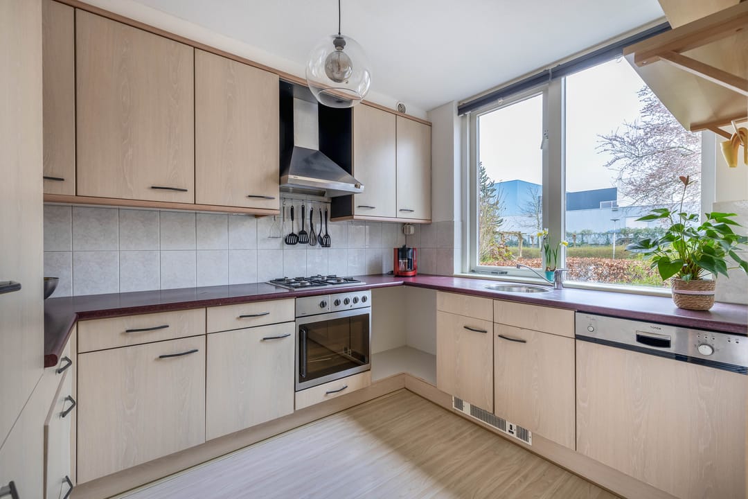 Foto 8 van Waterman 62