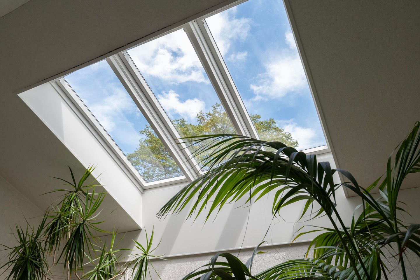 Foto 55 van Ringvaartweg 186