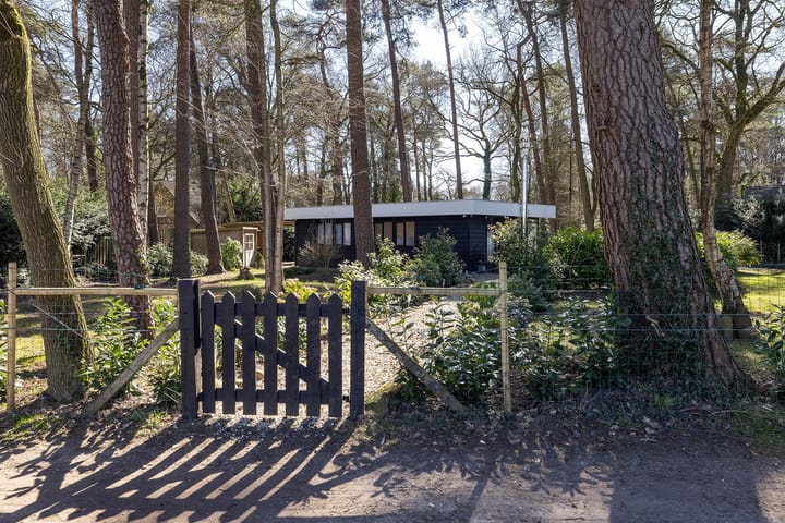 Photo 3 of Feriengebiet Am Waldbad 90