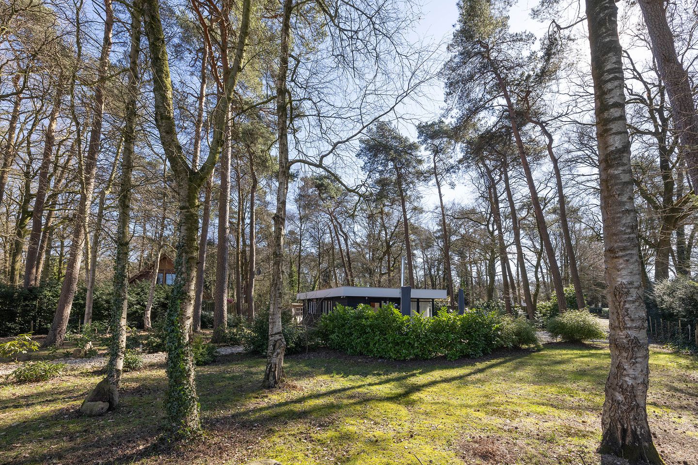 Photo 4 of Feriengebiet Am Waldbad 90