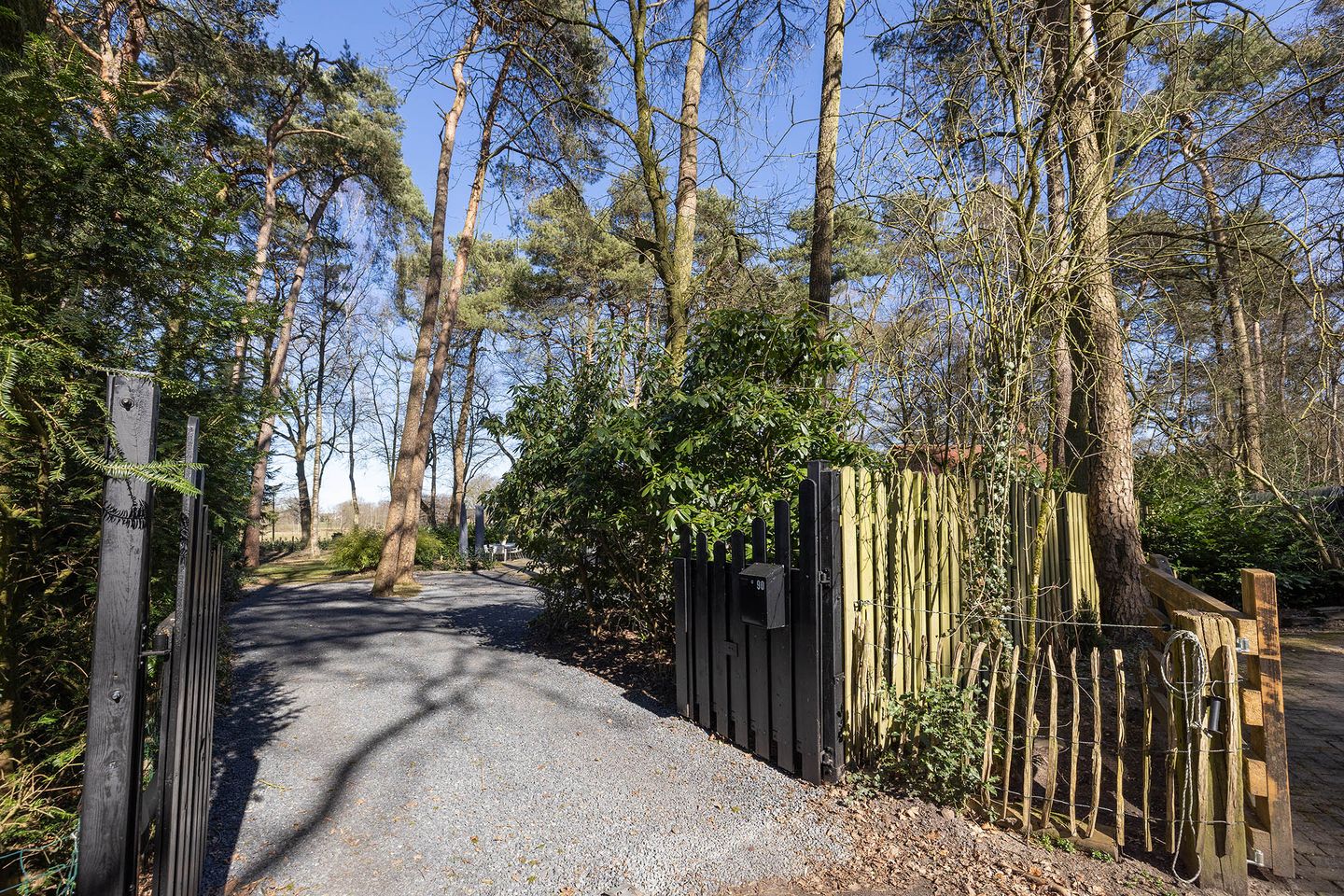 Photo 14 of Feriengebiet Am Waldbad 90