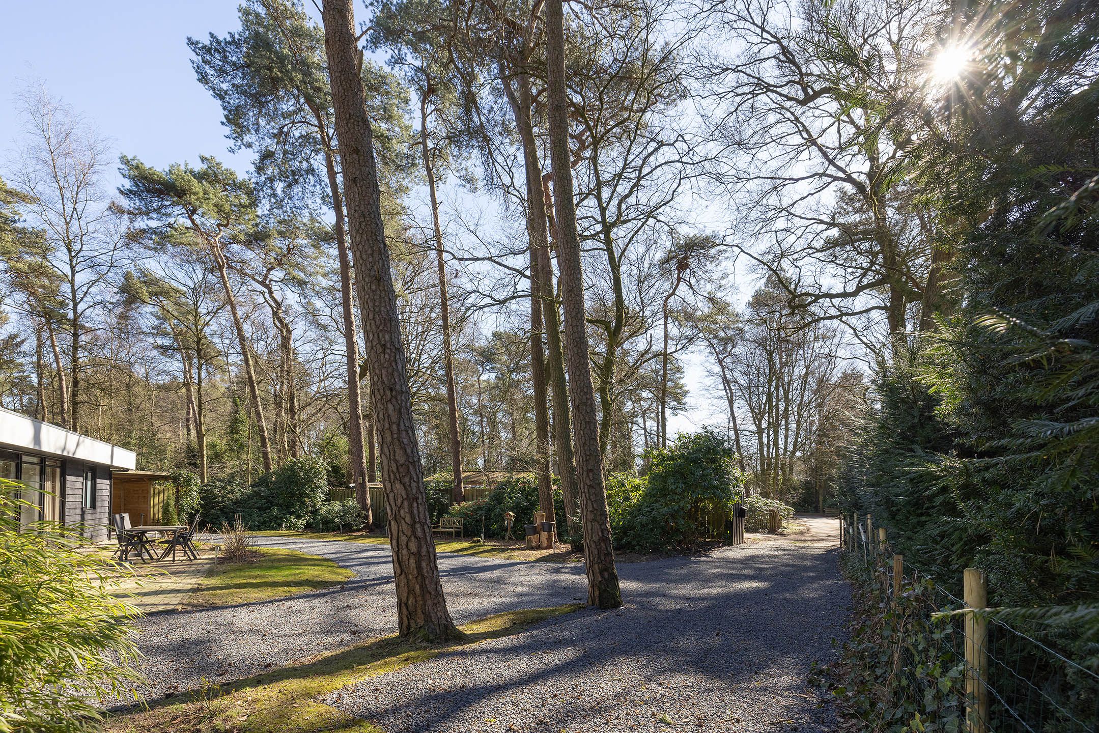 Photo 15 of Feriengebiet Am Waldbad 90