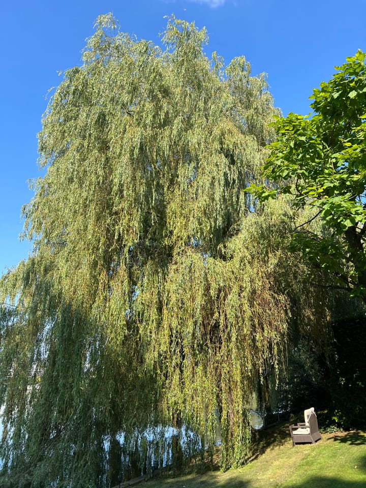 Foto 77 van Ringvaartweg 186