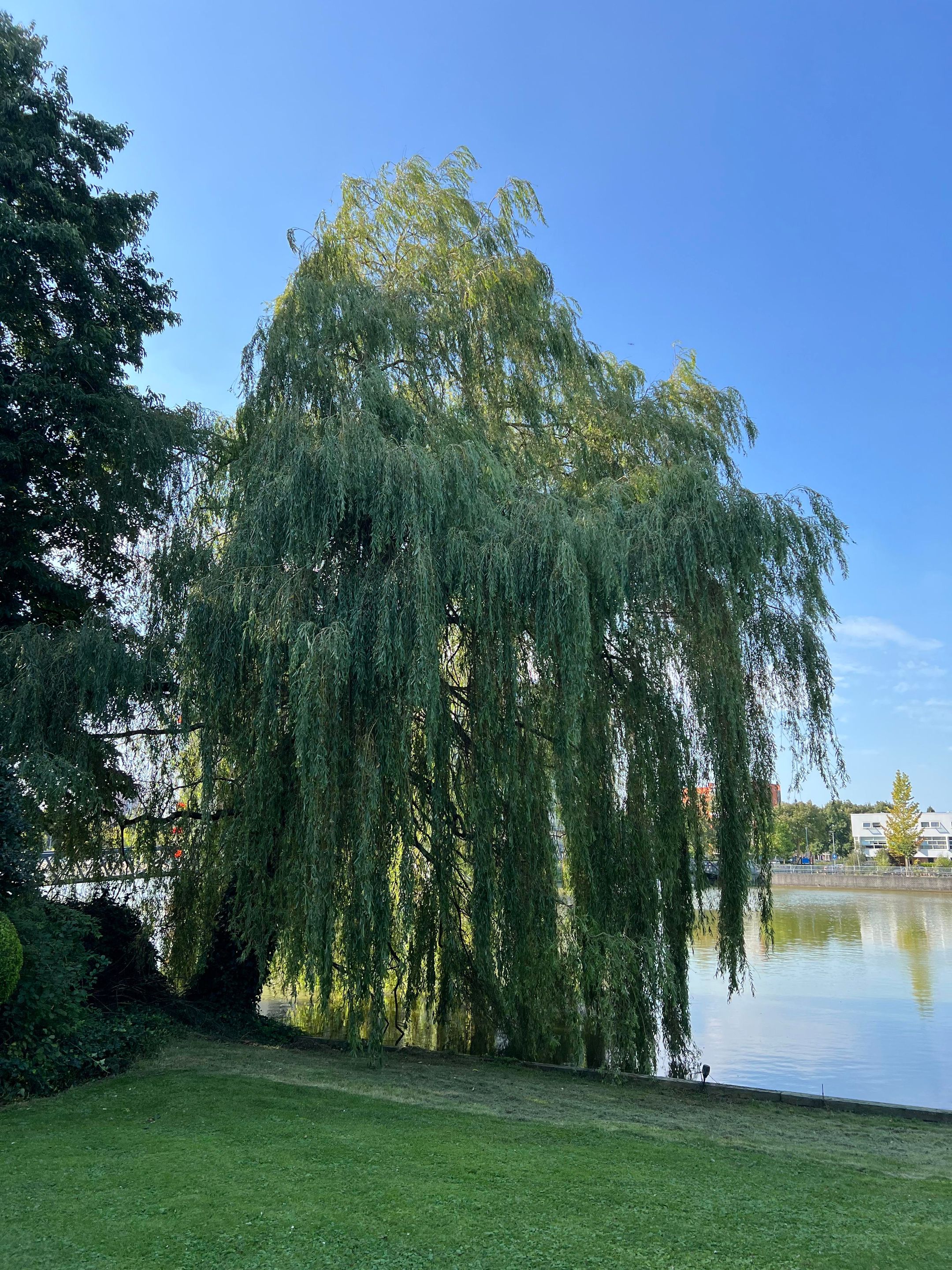 Foto 78 van Ringvaartweg 186