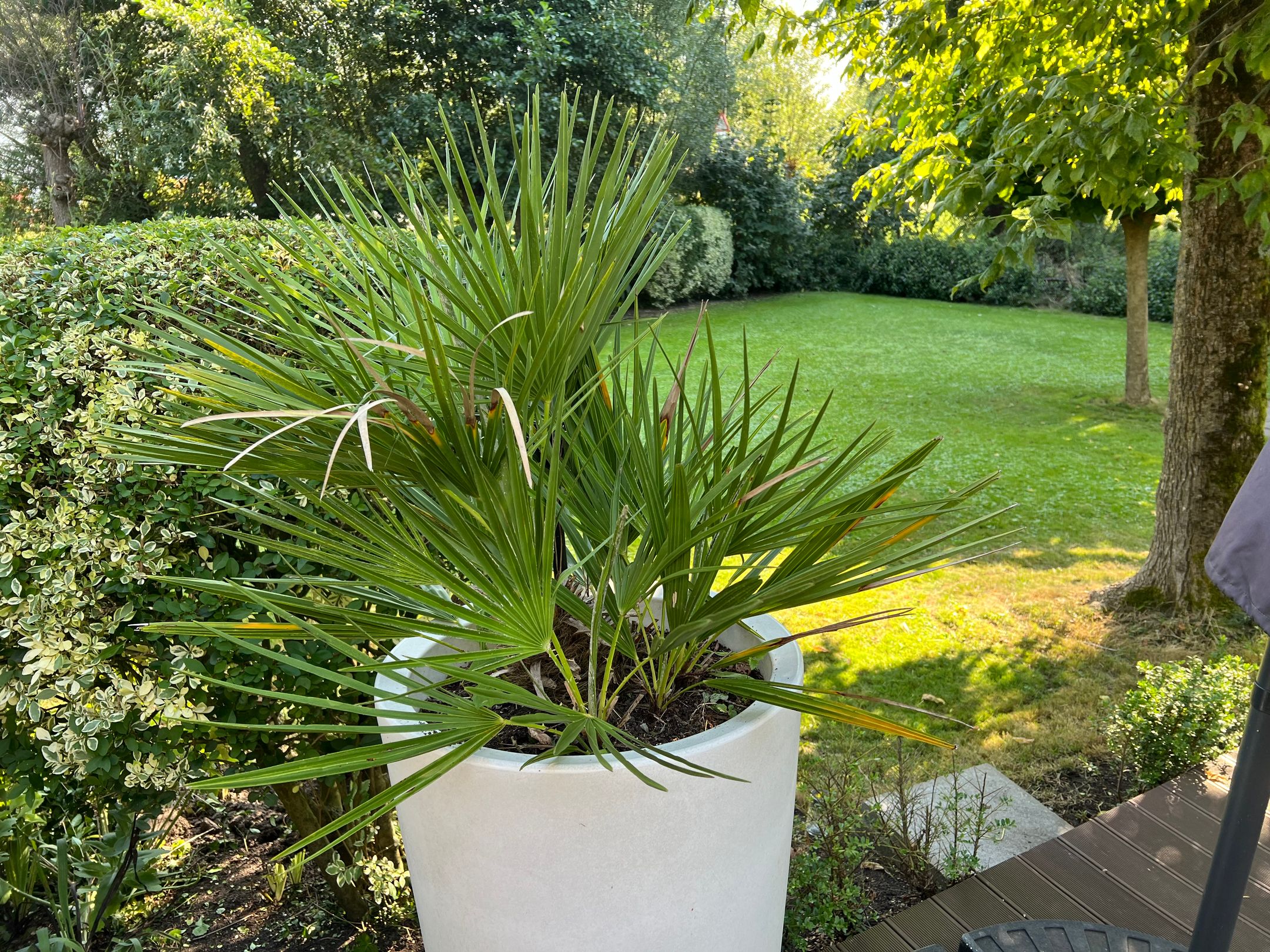 Foto 84 van Ringvaartweg 186