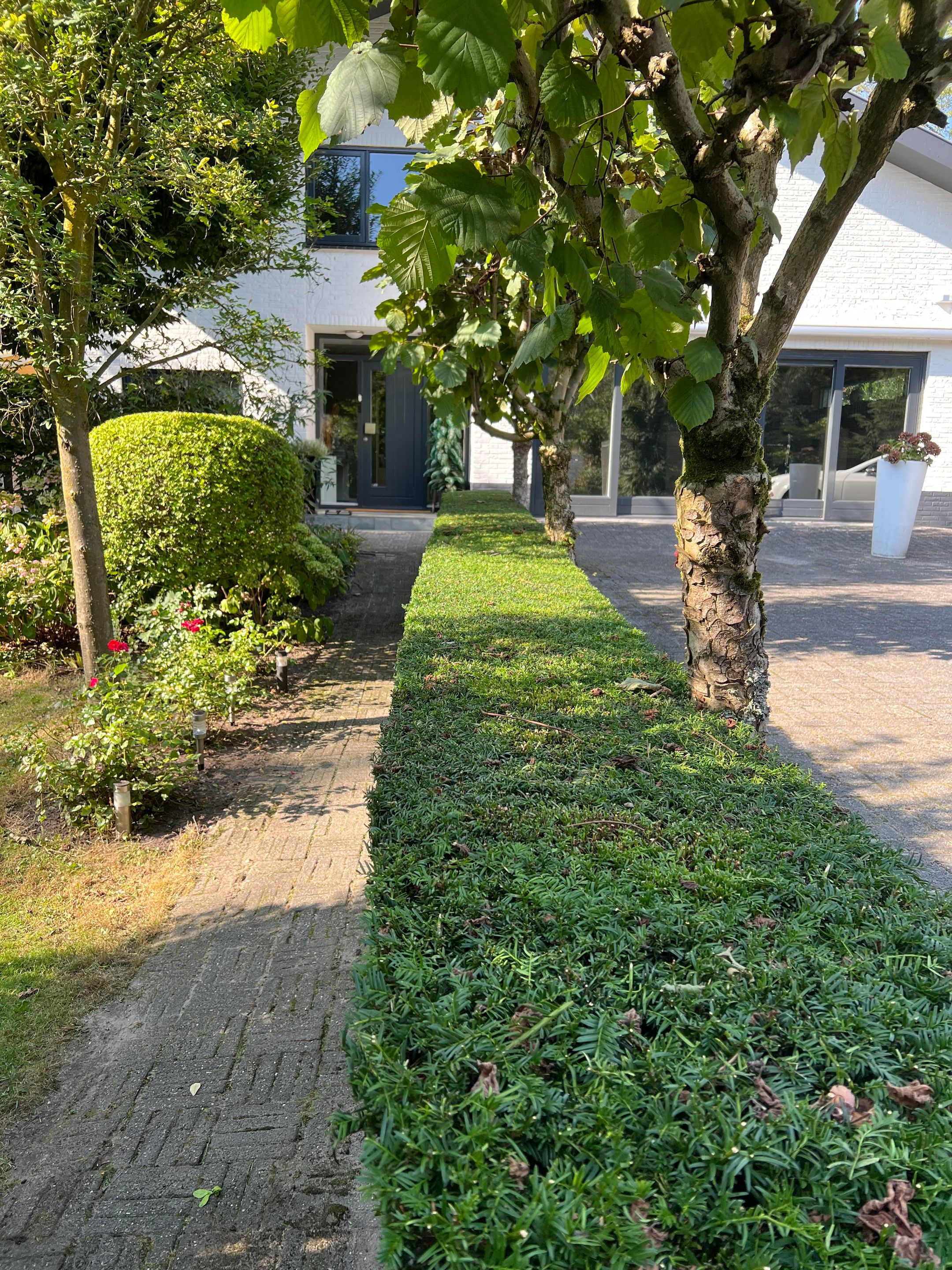 Foto 87 van Ringvaartweg 186