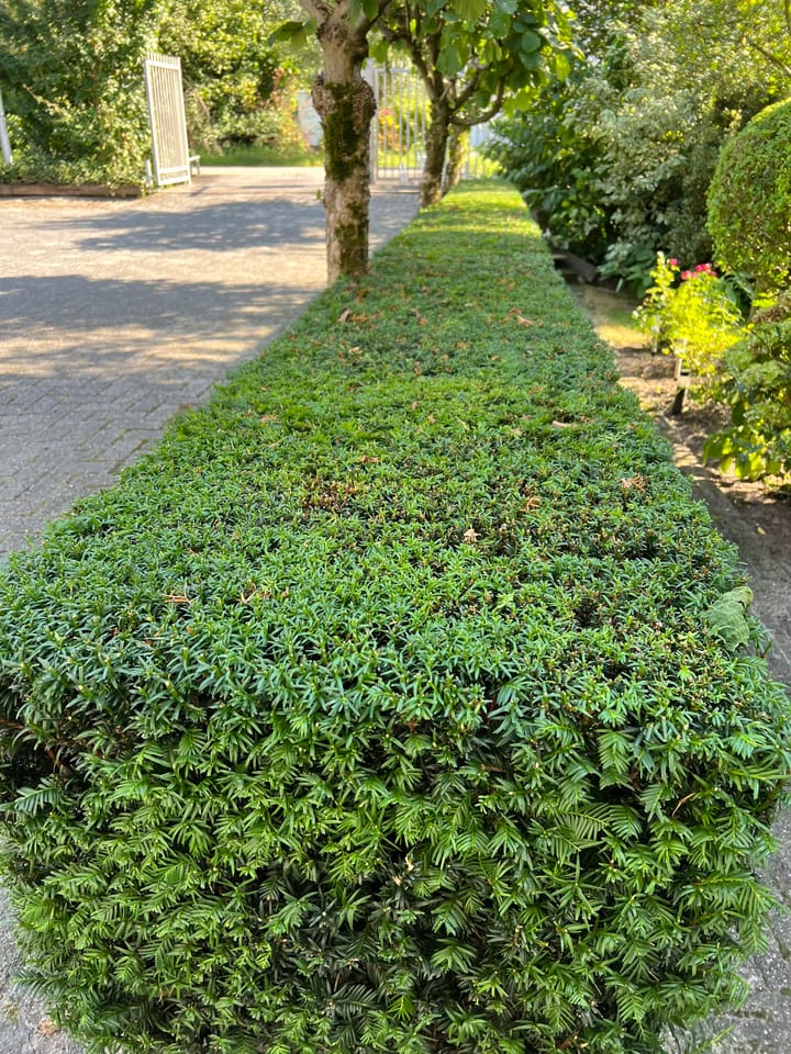 Foto 88 van Ringvaartweg 186