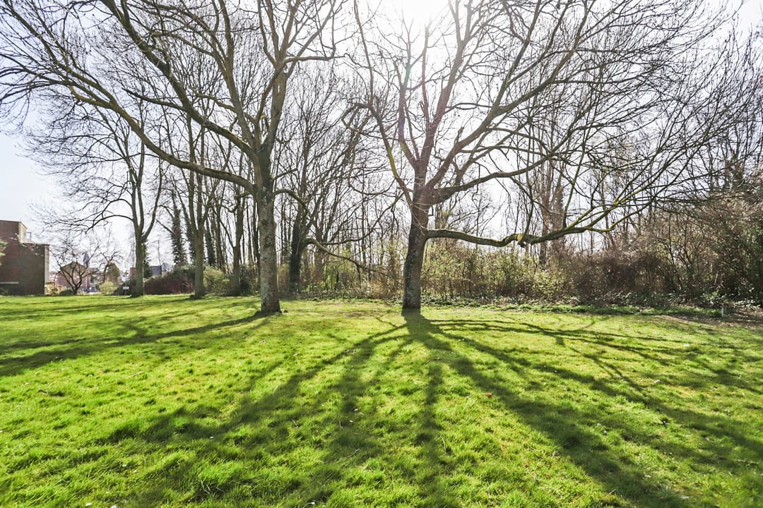 Foto 22 van Willem de Zwijgerlaan 51