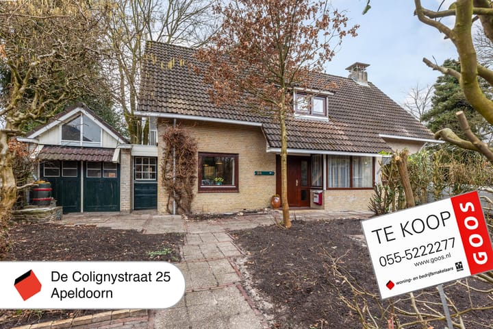 Foto 58 van De Colignystraat 25