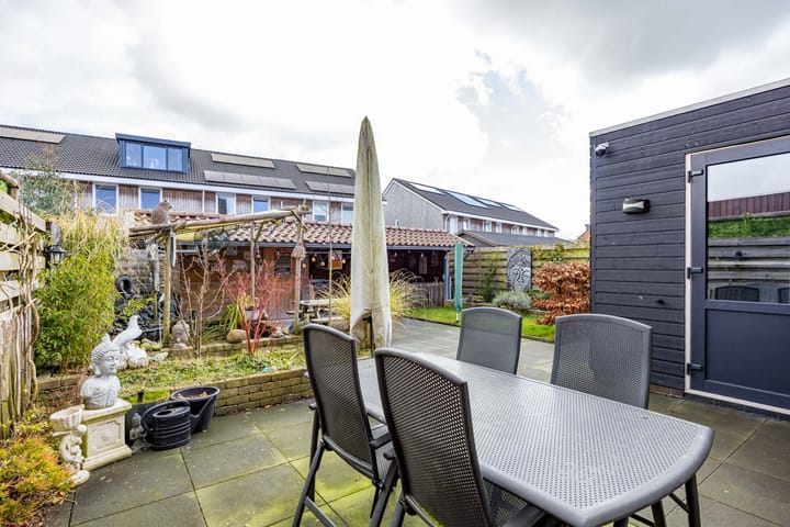 Foto 33 van Meerkoet 27