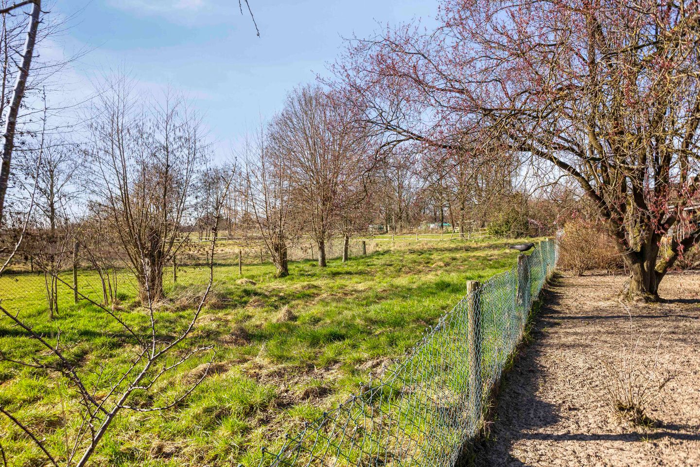 Foto 35 van Graaf van Lohnstraat 9