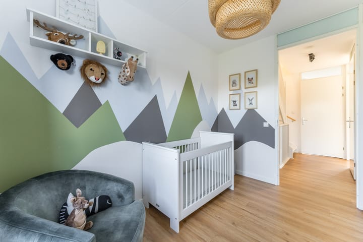 Foto 43 van Tjeerdsraklaan 13