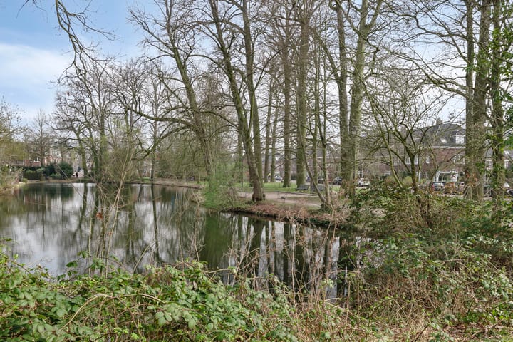 Foto 37 van Willem van Gulikstraat 10